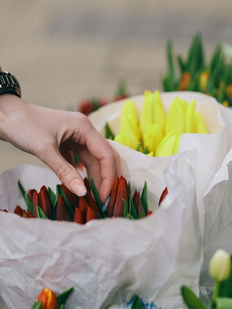 toropical flower-magasin-pic-eighteen