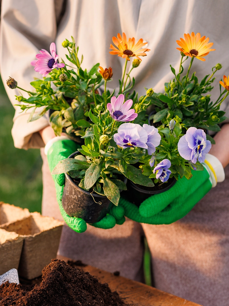 toropical flower-magasin-pic-fiftheen